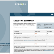 exec summ