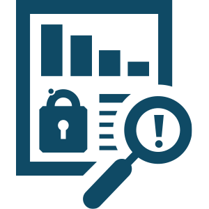 Audits Icon