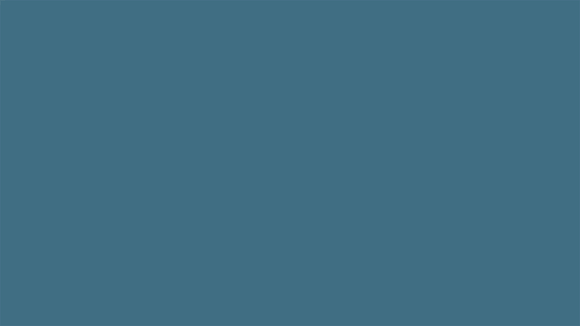 SPP-Feedback gif