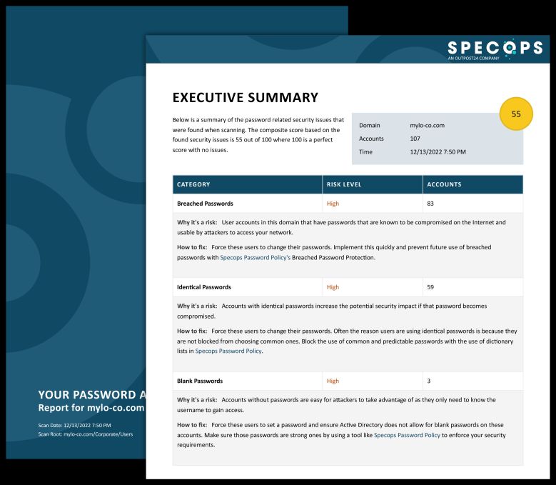 Beispiel einer Englischsprachigen Executive Summary