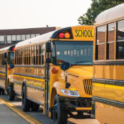 school buses