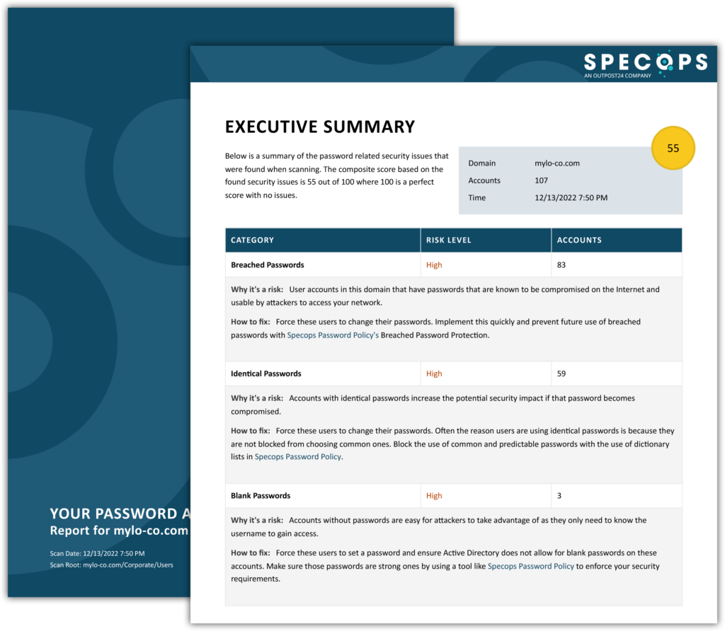 Specops Password Auditor’s Executive Summary Report 